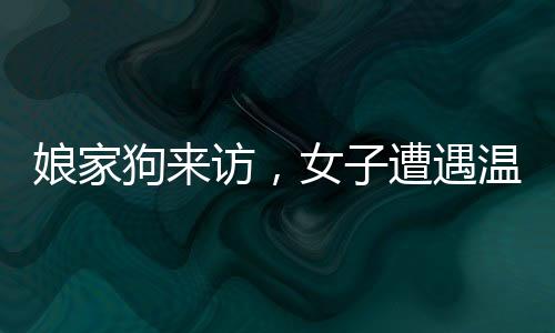 娘家狗來訪，女子遭遇溫情與現(xiàn)實(shí)的碰撞