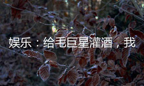 娛樂：給毛巨星灌酒，我爆火了！