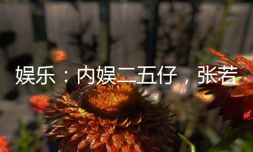 娛樂：內(nèi)娛二五仔，張若楠讓我鑿