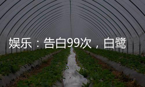 娛樂：告白99次，白鷺人設崩了