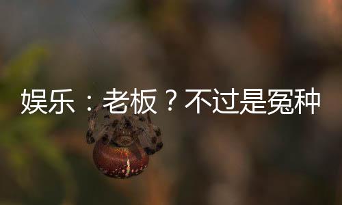 娛樂(lè)：老板？不過(guò)是冤種罷了！