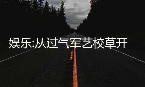 娛樂(lè):從過(guò)氣軍藝校草開始