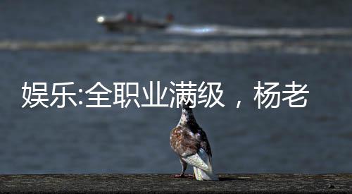 娛樂:全職業(yè)滿級(jí)，楊老板求蹭飯