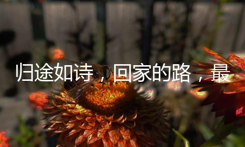 歸途如詩，回家的路，最美的風(fēng)景