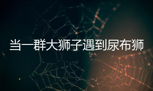 當(dāng)一群大獅子遇到尿布獅，獨(dú)特現(xiàn)象的生態(tài)解讀