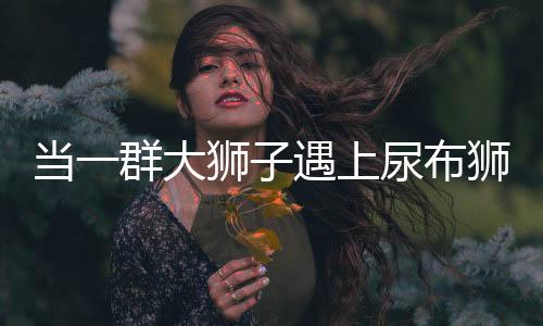 當(dāng)一群大獅子遇上尿布獅，奇特現(xiàn)象引發(fā)關(guān)注
