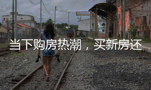 當下購房熱潮，買新房還是二手房？多方考量引熱議