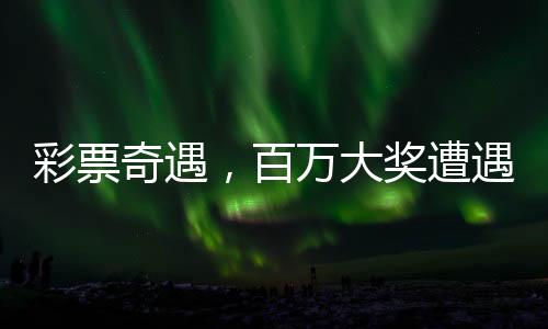 彩票奇遇，百萬大獎遭遇搶劫卻意外刮中，幸運(yùn)兒逆襲成功！