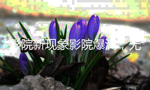 影院新現(xiàn)象影院爆滿，無(wú)座票開賣——觀影體驗(yàn)的新變革
