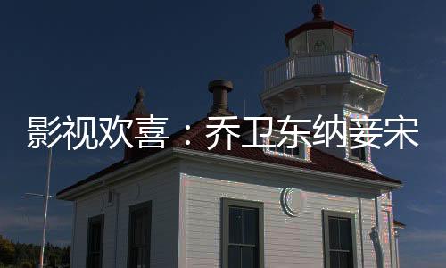 影視歡喜：喬衛(wèi)東納妾宋倩狂飆