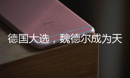 德國(guó)大選，魏德?tīng)柍蔀樘爝x之人？一篇深入解讀的文章