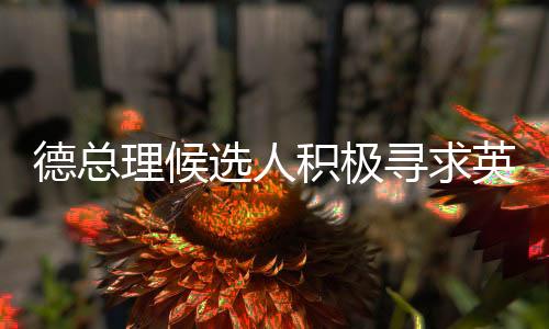 德總理候選人積極尋求英法核武器保護(hù)，引發(fā)國(guó)際社會(huì)關(guān)注