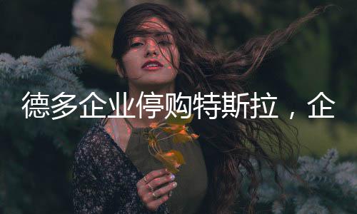 德多企業(yè)停購特斯拉，企業(yè)決策背后的深度考量