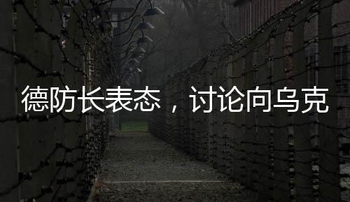 德防長(zhǎng)表態(tài)，討論向?yàn)蹩颂m派兵尚為時(shí)過(guò)早