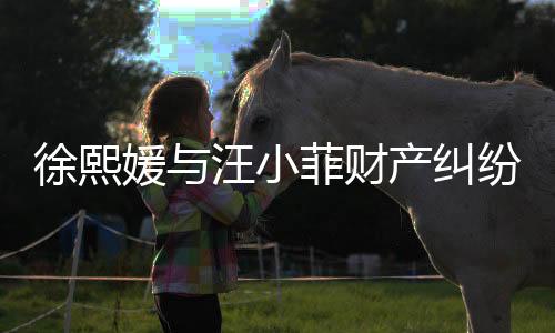 徐熙媛與汪小菲財產(chǎn)糾紛持續(xù)不斷，涉及金額高達(dá)750萬