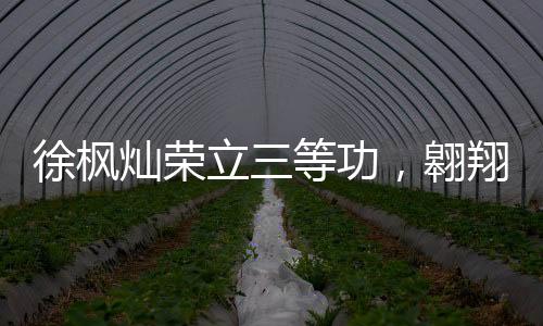 徐楓燦榮立三等功，翱翔藍(lán)天，功勛卓著