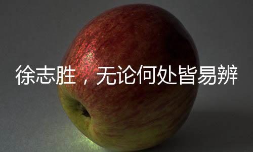 徐志勝，無論何處皆易辨，唯獨家鄉(xiāng)需尋覓
