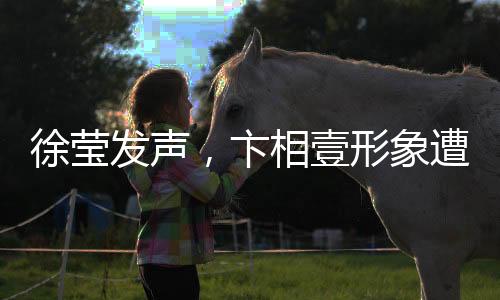 徐瑩發(fā)聲，卞相壹形象遭受毀滅性打擊