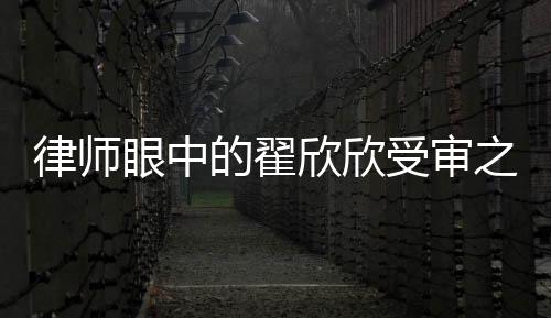 律師眼中的翟欣欣受審之路，其狀態(tài)欠佳