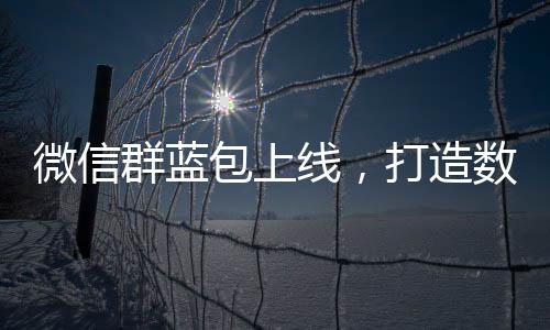 微信群藍(lán)包上線，打造數(shù)字化互動(dòng)體驗(yàn)新紀(jì)元