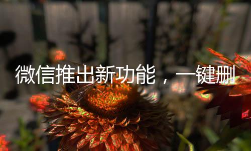 微信推出新功能，一鍵刪除單向好友，輕松維護(hù)好友關(guān)系