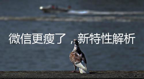 微信更瘦了，新特性解析與用戶體驗洞察
