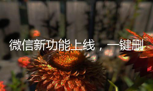 微信新功能上線，一鍵刪除單向好友，輕松維護社交關(guān)系