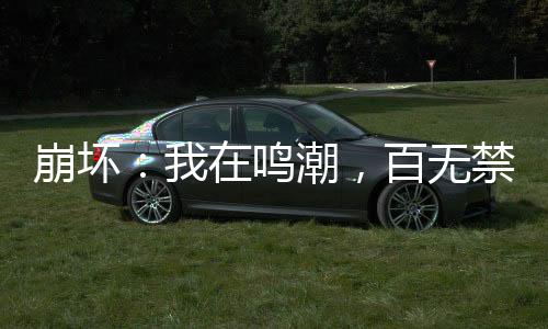 崩壞：我在鳴潮，百無(wú)禁忌！
