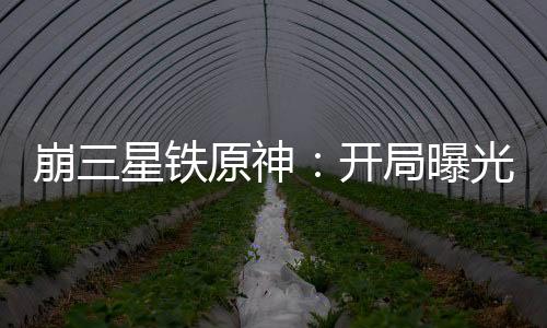 崩三星鐵原神：開局曝光第四天災(zāi)
