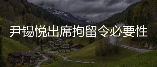 尹錫悅出席拘留令必要性審查，深入剖析法律執(zhí)行的正當(dāng)性