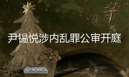 尹錫悅涉內(nèi)亂罪公審開(kāi)庭，案件細(xì)節(jié)逐步揭示