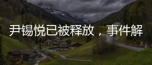 尹錫悅已被釋放，事件解析與后續(xù)觀察