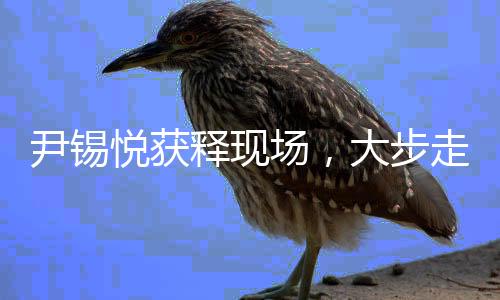 尹錫悅獲釋現(xiàn)場，大步走出拘留所，開啟新生之旅