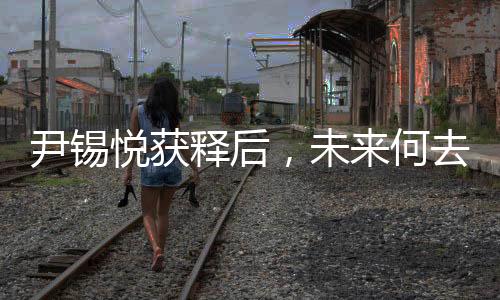 尹錫悅獲釋后，未來何去何從——關(guān)于其職位穩(wěn)定性的探討