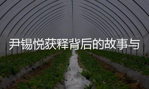 尹錫悅獲釋背后的故事與探究，錯綜復雜的局面下的新發(fā)展動態(tài)