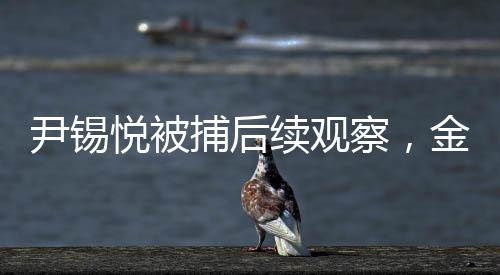 尹錫悅被捕后續(xù)觀察，金建希的神秘動向，疑似尋常外出遛狗