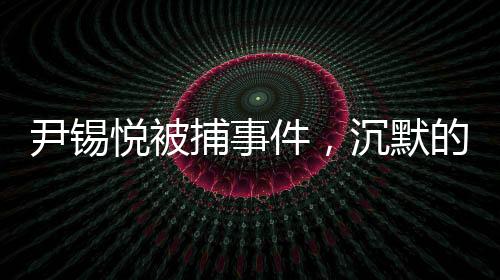尹錫悅被捕事件，沉默的反應(yīng)與深度解讀