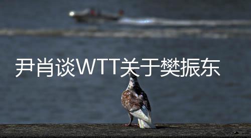 尹肖談WTT關(guān)于樊振東事件的言論，顛倒黑白引爭議