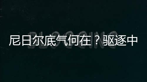 尼日爾底氣何在？驅(qū)逐中石油高管事件深度解析
