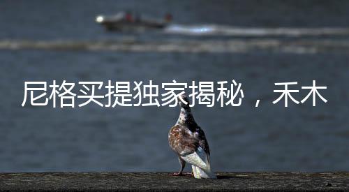 尼格買提獨(dú)家揭秘，禾木村神秘結(jié)界獸蹤跡揭秘