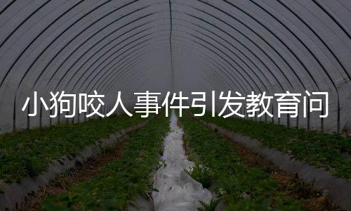 小狗咬人事件引發(fā)教育問(wèn)題，爺爺采取特殊方式教育小狗