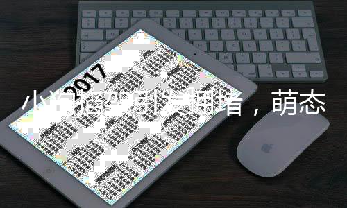 小狗掐架引發(fā)擁堵，萌態(tài)可掬無人勸解——城市新景象