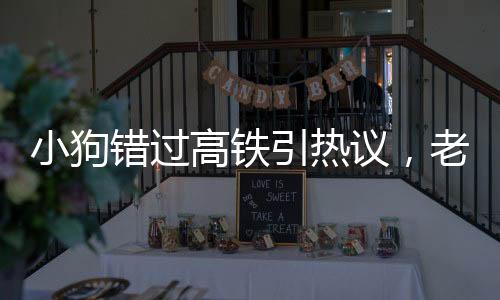 小狗錯(cuò)過(guò)高鐵引熱議，老人背狗離去，人性與規(guī)則的碰撞