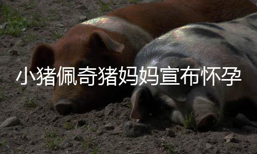 小豬佩奇豬媽媽宣布懷孕三胎，家庭迎來新成員