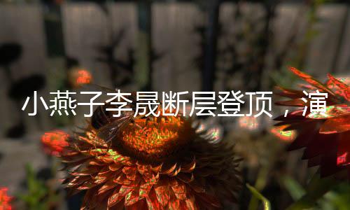 小燕子李晟斷層登頂，演藝之路的輝煌篇章