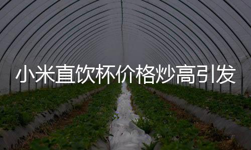 小米直飲杯價(jià)格炒高引發(fā)關(guān)注，市場(chǎng)現(xiàn)象背后的探究