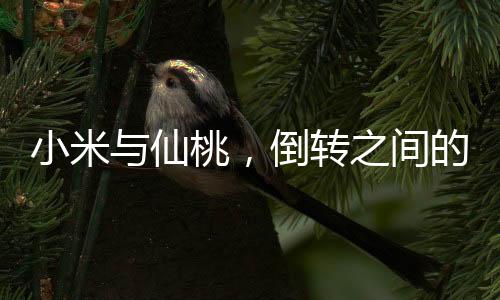 小米與仙桃，倒轉(zhuǎn)之間的神秘聯(lián)系