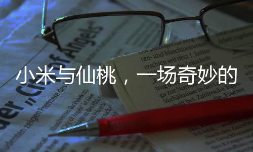小米與仙桃，一場奇妙的倒字奇緣