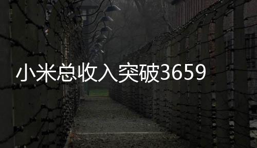 小米總收入突破3659億，去年業(yè)務(wù)大盤點(diǎn)