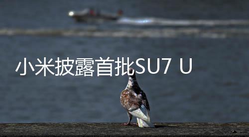 小米披露首批SU7 Ultra車主用戶畫像，揭示高端智能電動汽車用戶的特征